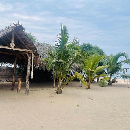 Surfing Beach Nilaveli Trincomalee Exteriér fotografie